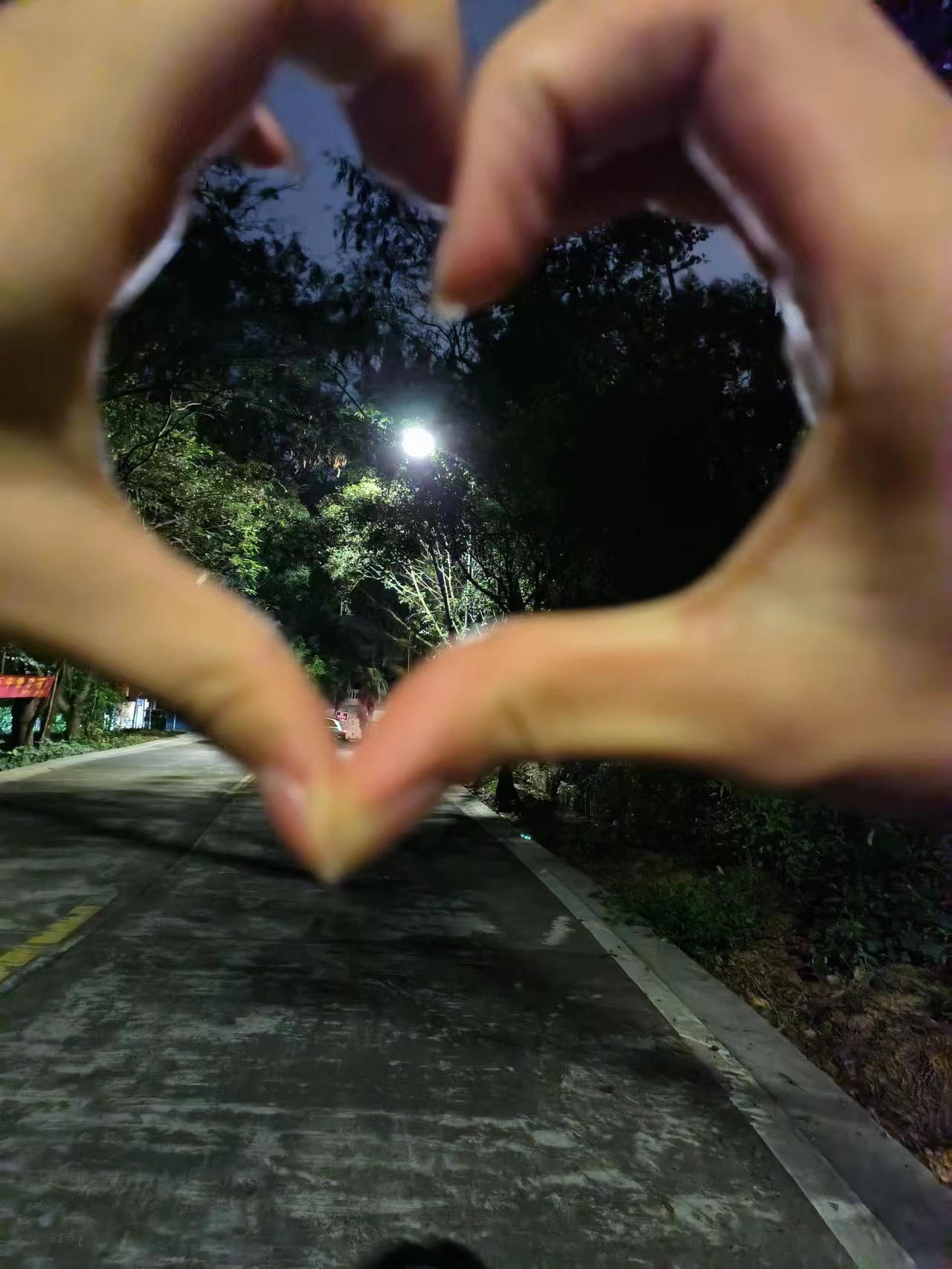 和杨发发比个心